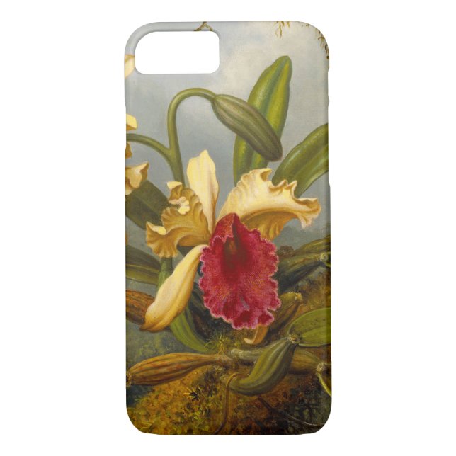 Funda De Case-Mate Para iPhone Orquids y Hummingbird Heade (Reverso)