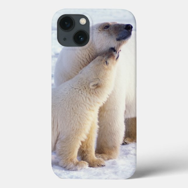 Funda De Case-Mate Para iPhone Osa de oso polar con cría, manada (Reverso)