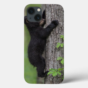 Funda Para iPhone 13 Osezno subiendo a un árbol