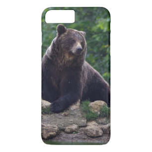 Funda Para iPhone 8 Plus/7 Plus Oso de Brown