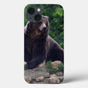 Funda Para iPhone 13 Oso de Brown