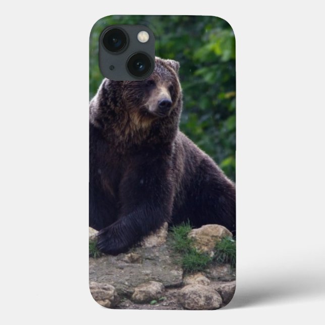 Funda De Case-Mate Para iPhone Oso de Brown (Reverso)