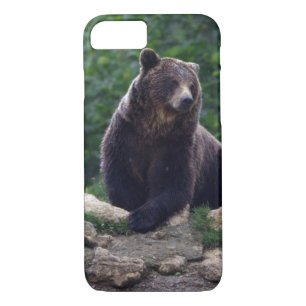 Funda Para iPhone 8/7 Oso de Brown