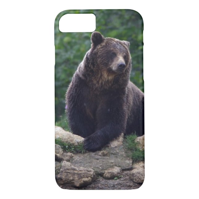 Funda De Case-Mate Para iPhone Oso de Brown (Reverso)