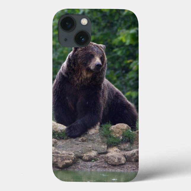 Funda De Case-Mate Para iPhone Oso de Brown (Reverso)