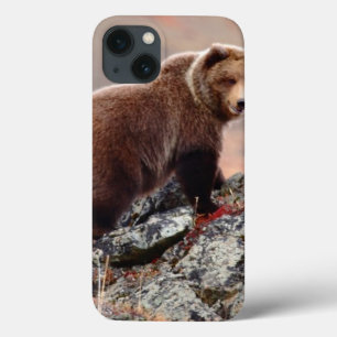 title_seo2 Oso de Denali Brown