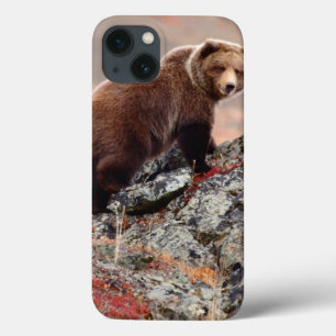 Funda Para iPhone 13 Oso de Denali Brown