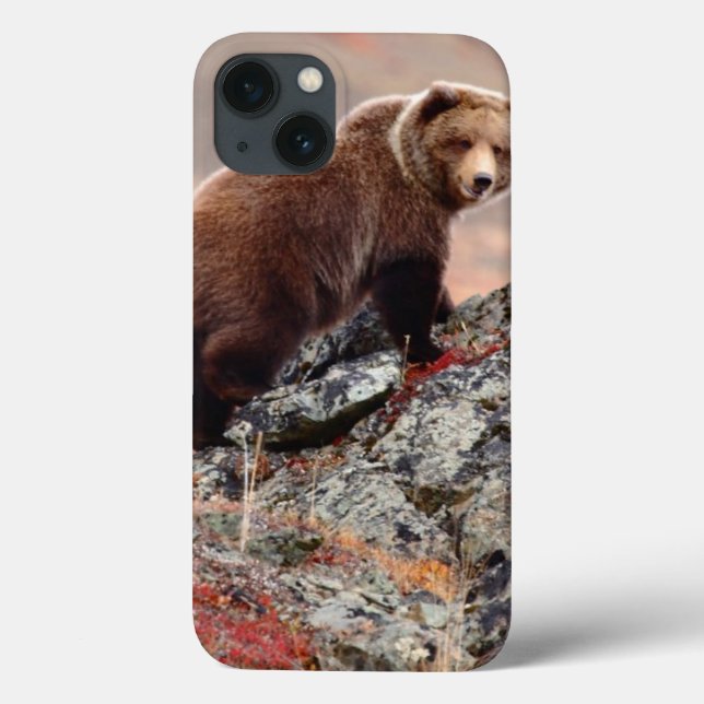 Funda De Case-Mate Para iPhone Oso de Denali Brown (Reverso)