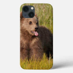 Funda Para iPhone 13 Oso divertido del bebé de las imágenes el de
