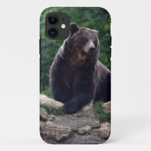 Funda Para iPhone 11 Oso marrón