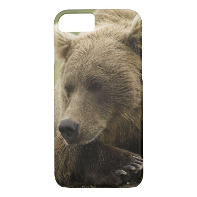 Funda De Case-Mate Para iPhone Oso marrón o oso pardo costero, Ursus (Reverso)