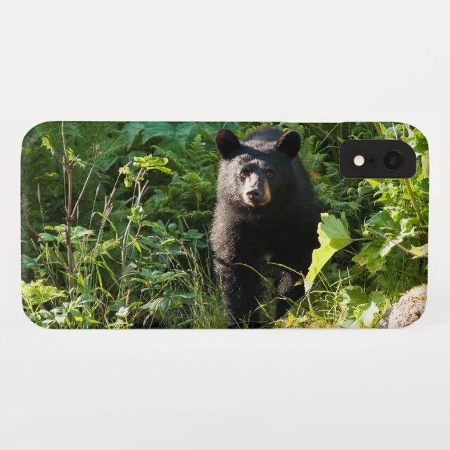 Funda De Case-Mate Para iPhone Oso negro curioso (Reverso (horizontal))