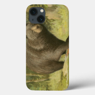 Funda Para iPhone 13 Oso negro pisando un tronco de árbol