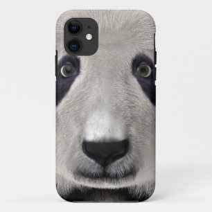 title_seo2 Oso Panda