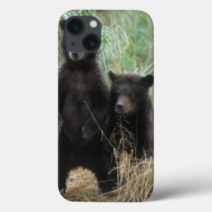 Funda Para iPhone 13 oso pardo, Ursus arctos, oso grizzly, Ursus 7 2