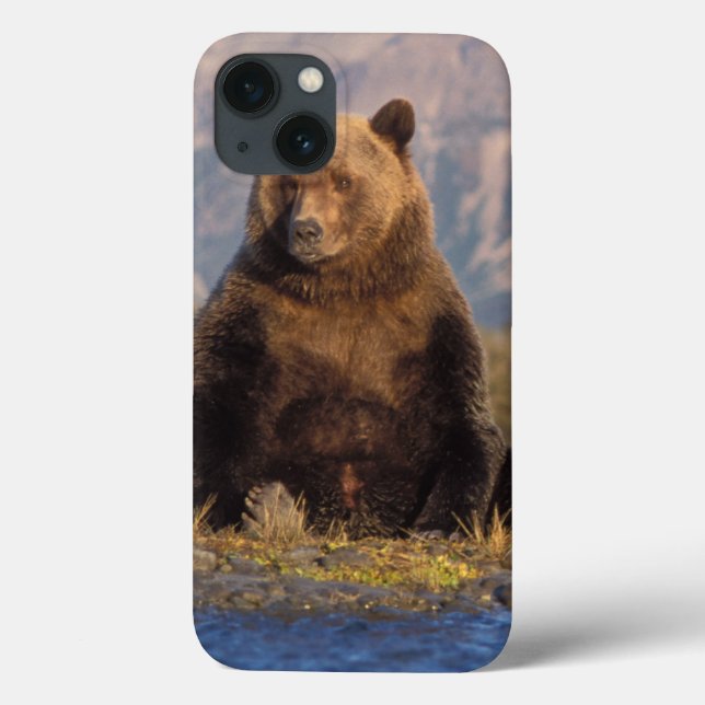 Funda De Case-Mate Para iPhone oso pardo, Ursus arctos, oso pardo, Ursus (Reverso)