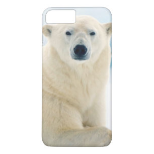 Funda Para iPhone 8 Plus/7 Plus Oso polar adulto gran verraco en el hielo de veran