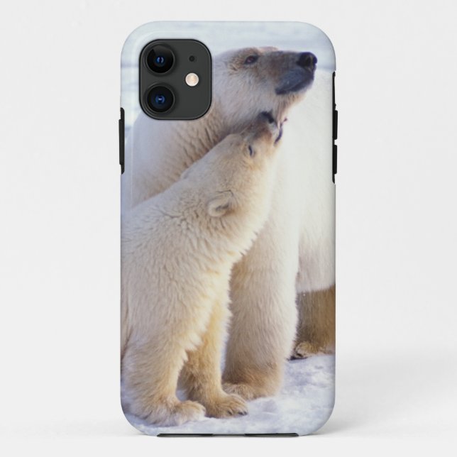 Funda De Case-Mate Para iPhone Oso polar cerda con cachorro, empaque (Reverso)