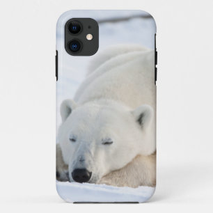 Funda Para iPhone 11 Oso polar en invierno