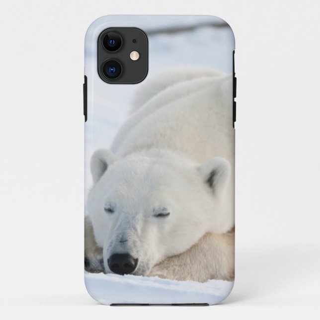 Funda De Case-Mate Para iPhone Oso polar en invierno (Reverso)