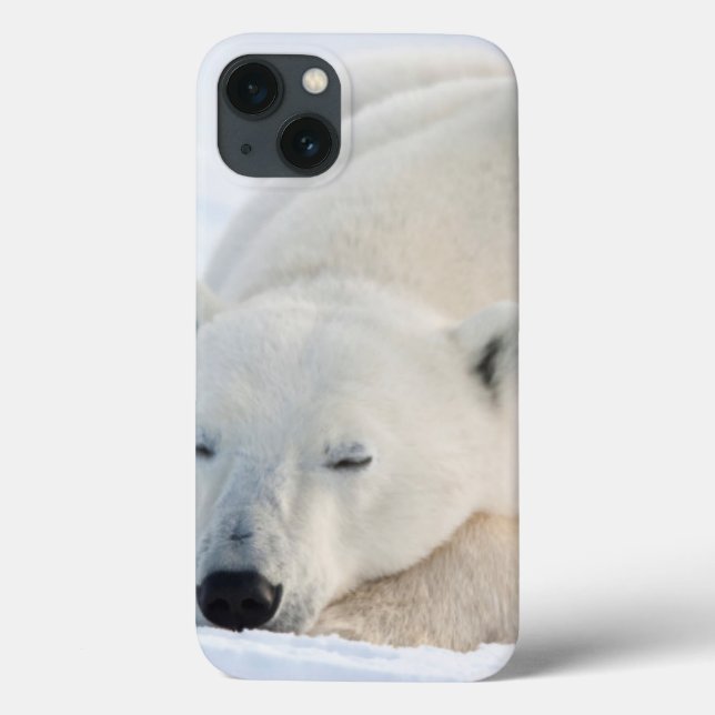 Funda De Case-Mate Para iPhone Oso polar en invierno (Reverso)