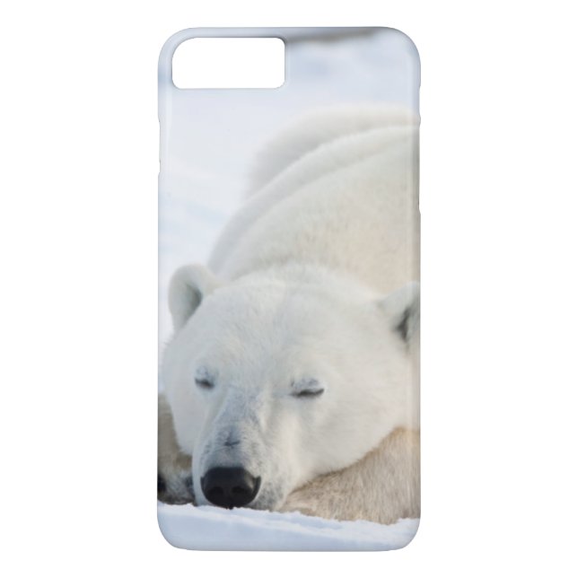 Funda De Case-Mate Para iPhone Oso polar en invierno (Reverso)