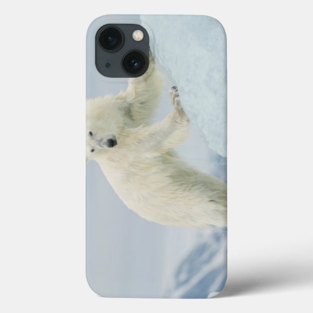 Funda De Case-Mate Para iPhone Oso polar en verano (Reverso)