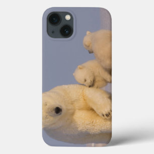 Funda Para iPhone 13 oso polar, maritimus del Ursus, cerda con 3 recién
