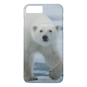 Funda Para iPhone 8 Plus/7 Plus Oso polar, Ursus Maritimus, adulto