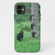 Oso y tres cachorros