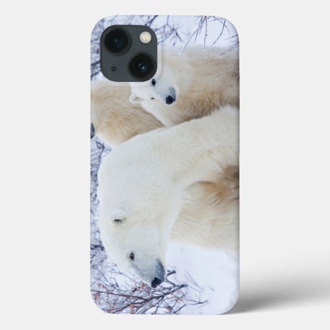 Funda De Case-Mate Para iPhone Osos polares y dos cachorros (Reverso)