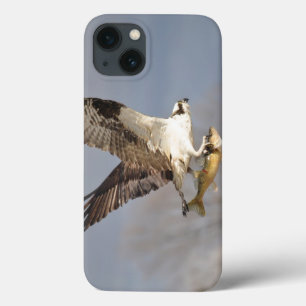 Funda Para iPhone 13 Osprey & Fish 5 Fotografía de vida silvestre