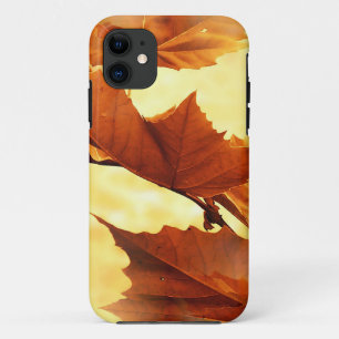 Funda Para iPhone 11 Otoño