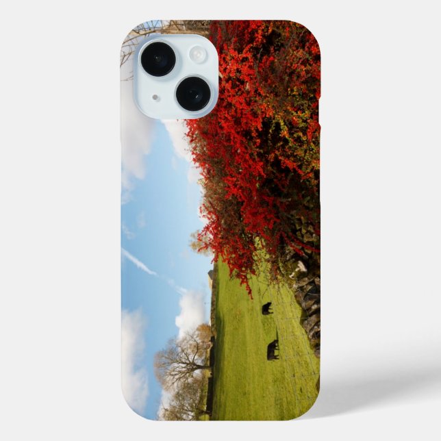 Funda De Case-Mate Para iPhone Otoño en el país (Reverso )