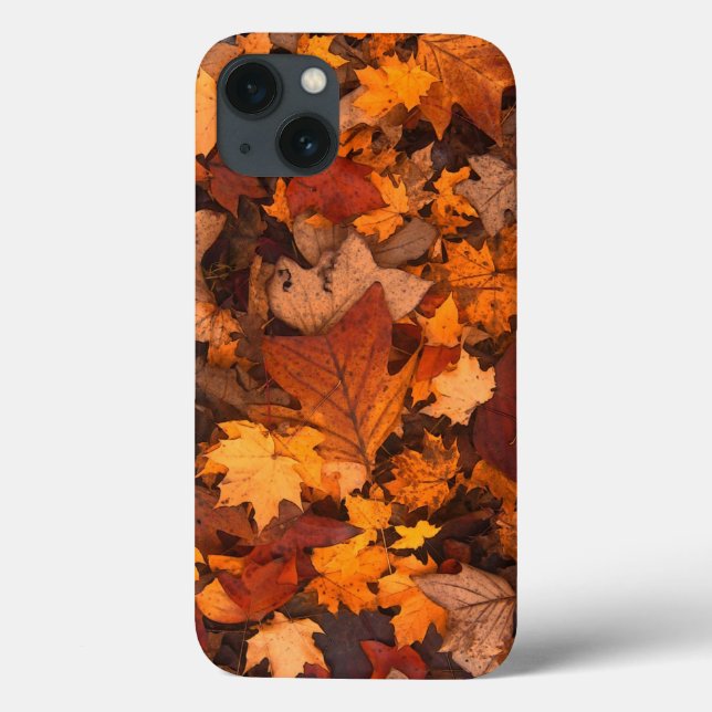 Funda De Case-Mate Para iPhone otoño, hojas, follaje (Reverso)