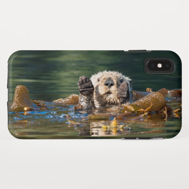 Funda De Case-Mate Para iPhone Otter Sea Otter (Reverso (horizontal))
