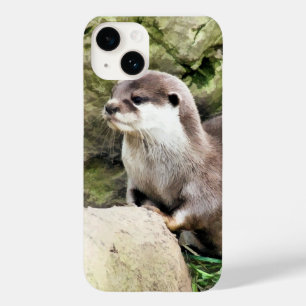 TITLE_SEO2 OTTERS