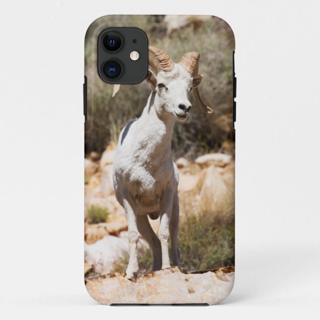 Funda De Case-Mate Para iPhone Ovejas blancas de la familia (Reverso)
