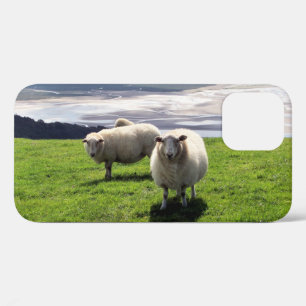 FUNDA PARA iPhone 12 OVEJAS DE MONTAÑA BELSH