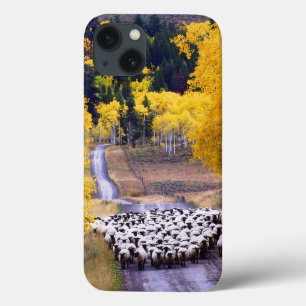 Funda Para iPhone 13 Ovejas en la carretera nacional