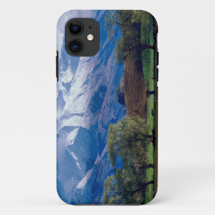Funda Para iPhone 11 Ovejas pastando bajo el Harris coronado de nieve