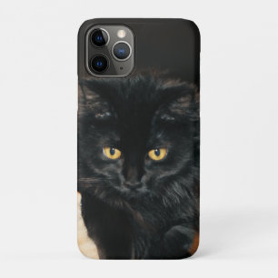 Funda Para iPhone 11 Pro Owllette