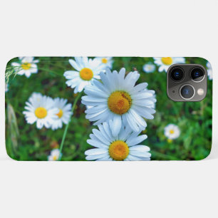 Funda Para iPhone 11 Pro Max Ox-Eye Daisies