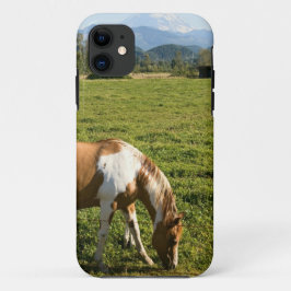 Funda Para iPhone 11 Paint Hourse en las montañas
