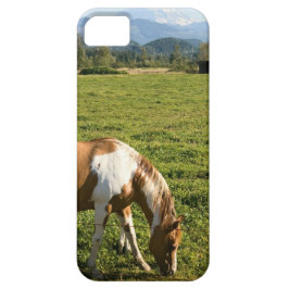 Funda Para iPhone 11 Paint Hourse en las montañas