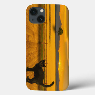 Funda Para iPhone 13 Paisaje de Gato Negro