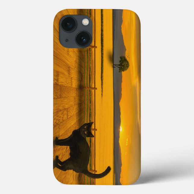 Funda De Case-Mate Para iPhone Paisaje de Gato Negro (Reverso)