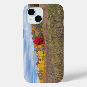 Funda Para iPhone 15 paisaje de pradera en otoño en el parque estatal a