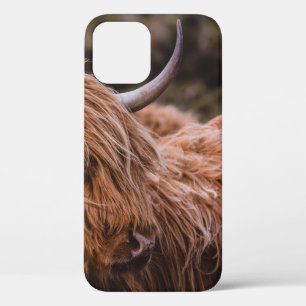 FUNDA PARA iPhone 12 PAISAJES DRAMÁTICOS Y MODERNOS INSPIRADOS POR LA N