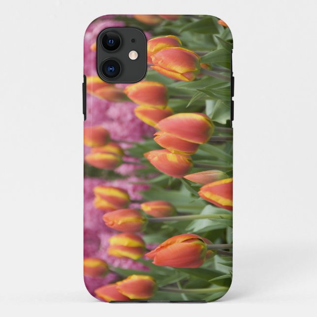 Funda De Case-Mate Para iPhone Países Bajos (alias Holanda), Lisse. Keukenhof (Reverso)